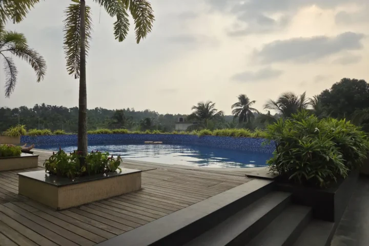 Timber pool deck beside a palm with water views beyond