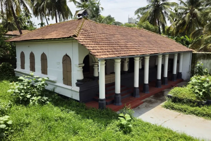 Whitewashed single-storey home with a tiled roof among palms
