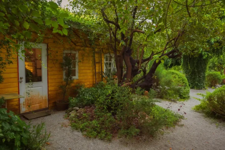 Yellow timber cottage entrance tucked into a lush garden