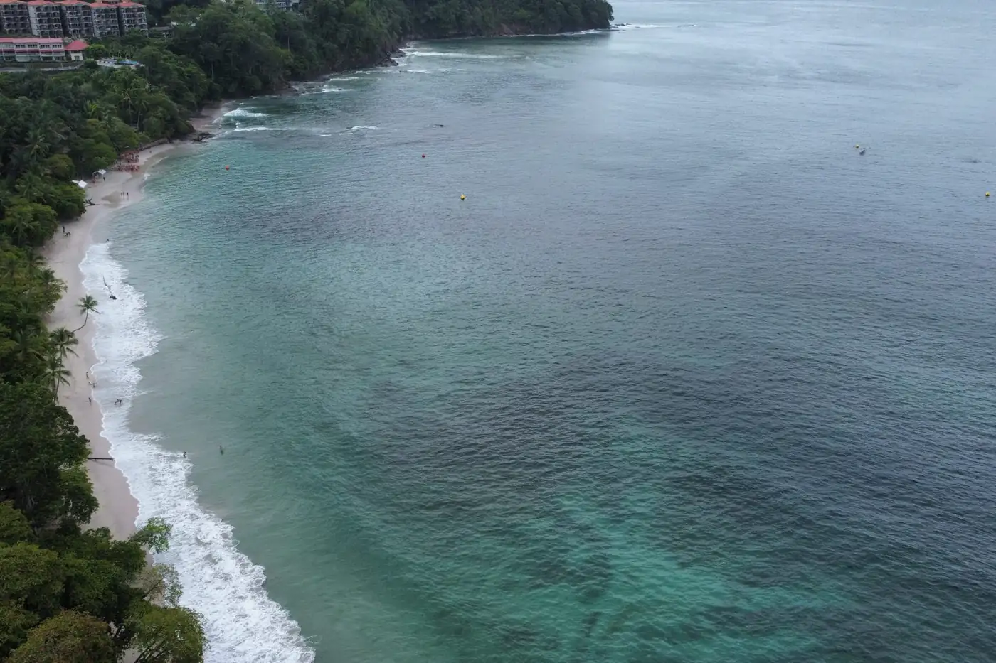 Aerial view of a long sandy beach bordered by tropical forest