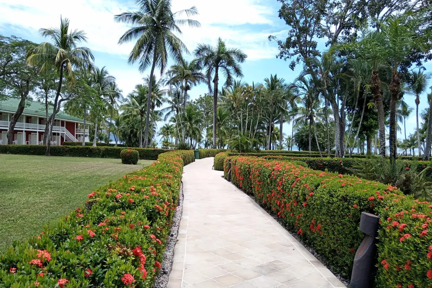 Garden path lined with palms and flowering hedges